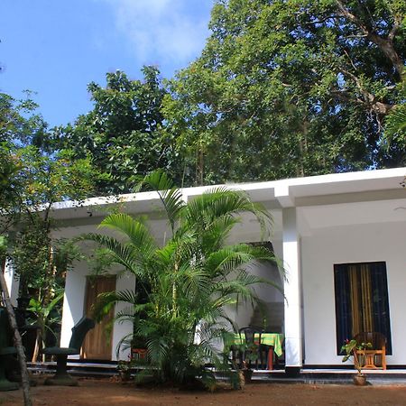 Sigiriya Mana B&B Exterior photo