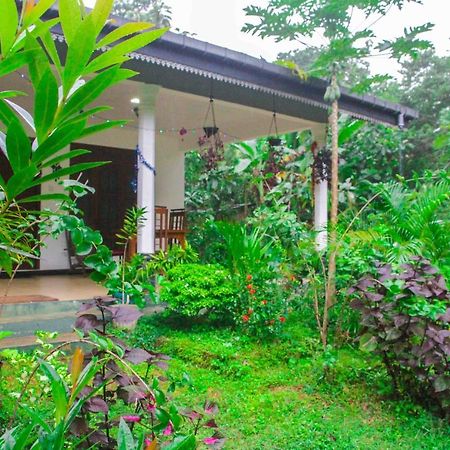 Sigiriya Mana B&B Exterior photo