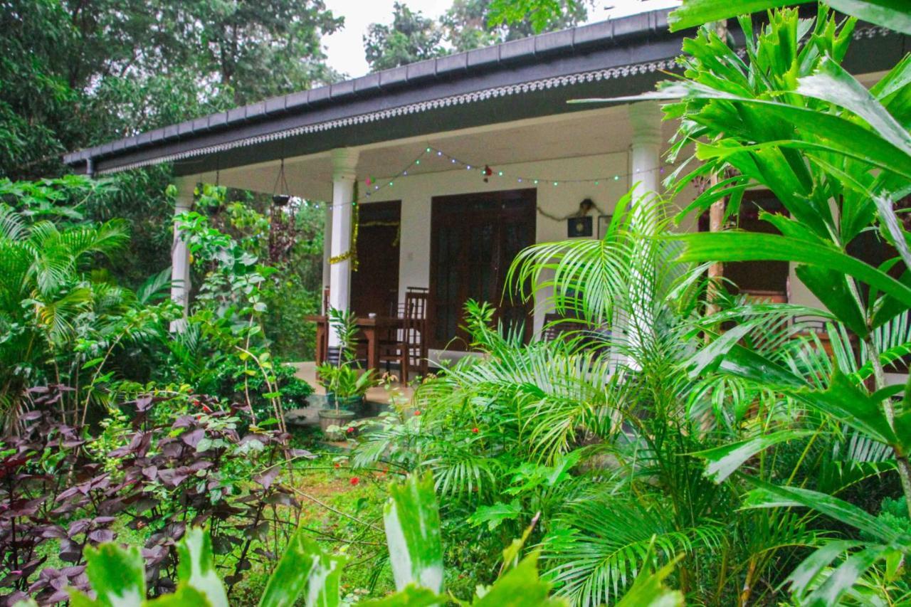 Sigiriya Mana B&B Exterior photo
