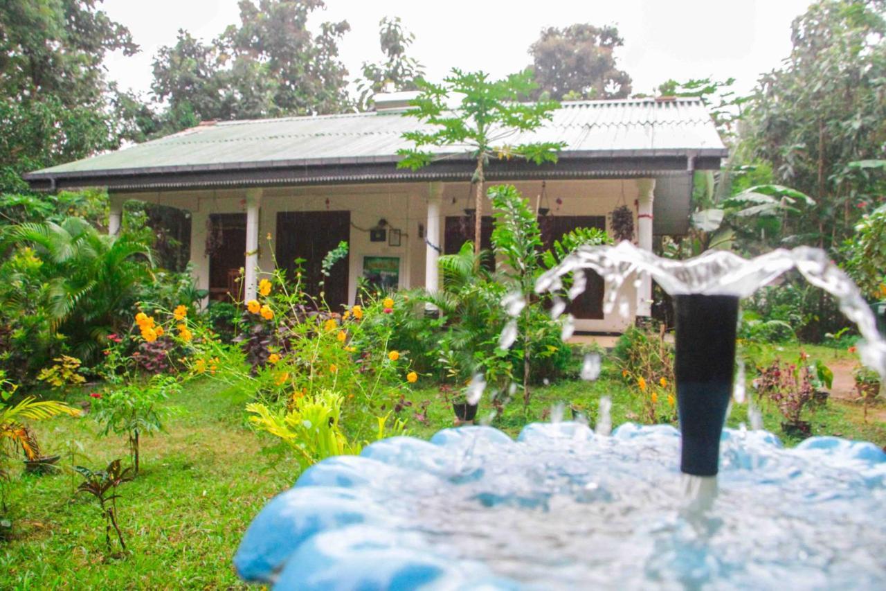 Sigiriya Mana B&B Exterior photo