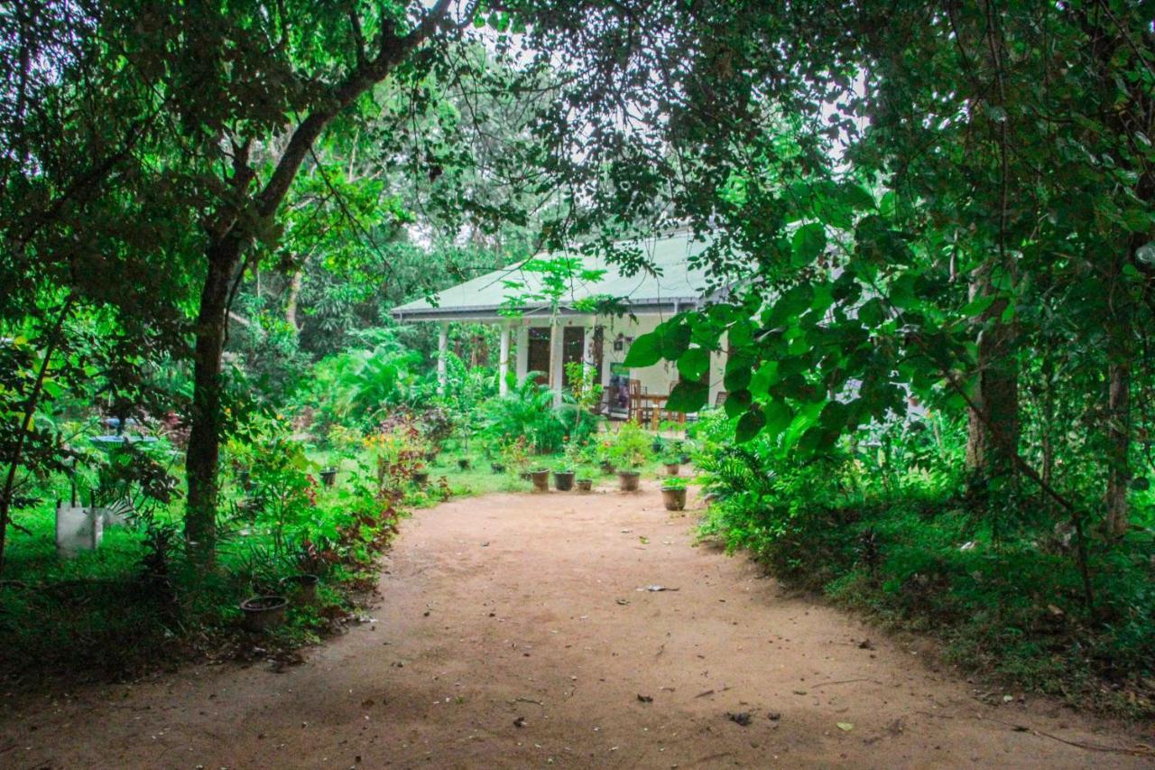 Sigiriya Mana B&B Exterior photo